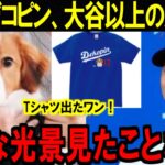 大谷翔平の愛犬デコピンの活躍止まらない‼愛犬の活躍大谷以上か⁉【海外の反応/MLB】