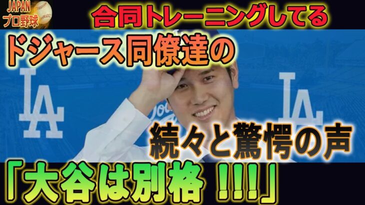 ド軍同僚が練習中の大谷に驚愕「大谷は別格 !!! 」…アメリカ全土がオータニを違う目で見ている！【最新/MLB/大谷翔平】