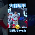 【MLB】大谷翔平、ドリンクをこぼしちゃう #大谷翔平 #mlb #mvp #wbc #shoheiohtani #dodgers #angels #侍ジャパン #エンゼルス