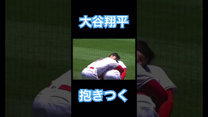 【MLB】ウォードに抱きつく大谷翔平 #大谷翔平 #mlb #shoheiohtani #wbc #侍ジャパン #デコピン #ドジャース #エンゼルス