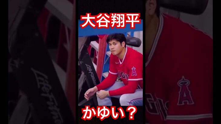 【MLB】手がかゆい？大谷翔平 #大谷翔平 #mlb #shoheiohtani #wbc #侍ジャパン #angels #dodgers #mvp #エンゼルス