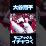 【MLB】モニアックとイチャつく大谷翔平 #大谷翔平 #mlb #shoheiohtani #wbc #侍ジャパン #エンゼルス #dodgers #angels #mvp