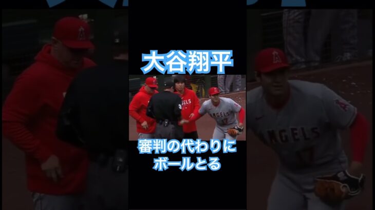 【MLB】大谷翔平、審判の代わりにボールとる、優しい #大谷翔平 #mlb #wbc #侍ジャパン #エンゼルス #ドジャース #shoheiohtani #デコピン