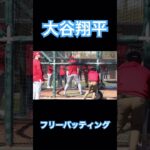 【MLB】大谷翔平のエグいフリーバッティング② #大谷翔平 #mlb #wbc #侍ジャパン #shoheiohtani #エンゼルス #ドジャース #デコピン