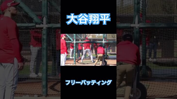 【MLB】大谷翔平のエグいフリーバッティング② #大谷翔平 #mlb #wbc #侍ジャパン #shoheiohtani #エンゼルス #ドジャース #デコピン