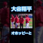 【MLB】オホッピーと意見交換する大谷翔平 #大谷翔平 #shoheiohtani #mlb #mvp #wbc #angels #dodgers #侍ジャパン #エンゼルス