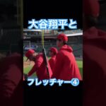 【MLB】大谷翔平、仲良しのフレッチャーと④ #shoheiohtani #大谷翔平 #mlb #wbc #侍ジャパン #エンゼルス #デコピン #フレッチャー