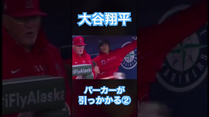 【MLB】大谷翔平、お腹のとこでパーカーが引っかかる② #大谷翔平 #shoheiohtani #wbc #侍ジャパン #mlb #エンゼルス #dodgers #angels #mvp