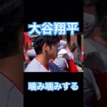 【MLB】手袋を噛み噛みする大谷翔平 #大谷翔平 #shoheiohtani #wbc #侍ジャパン #mlb #エンゼルス #dodgers #angels #mvp