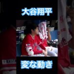 【MLB】ベンチで変な動きをする大谷翔平 #大谷翔平 #wbc #mlb #shoheiohtani #侍ジャパン #ドジャース #エンゼルス #デコピン