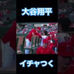 【MLB】サンドバルとイチャつく大谷翔平 #大谷翔平 #wbc #侍ジャパン #mlb #shoheiohtani #ドジャース #デコピン #エンゼルス