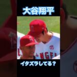 【MLB】チームメイトにイタズラしてる？大谷翔平 #大谷翔平 #wbc #侍ジャパン #mlb #shoheiohtani #ドジャース #デコピン #エンゼルス