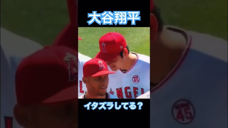 【MLB】チームメイトにイタズラしてる？大谷翔平 #大谷翔平 #wbc #侍ジャパン #mlb #shoheiohtani #ドジャース #デコピン #エンゼルス