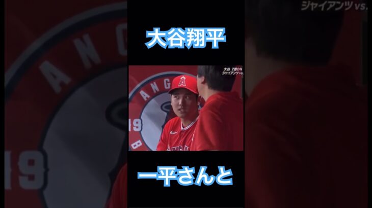 【MLB】大谷翔平と一平さん、ベンチ内の様子 #大谷翔平 #wbc #mlb #侍ジャパン #ドジャース #エンゼルス #shoheiohtani #デコピン #水原一平