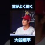 【MLB】興奮して首がよく動く大谷翔平 #大谷翔平 #侍ジャパン #wbc #mlb #shoheiohtani #エンゼルス #ドジャース #デコピン