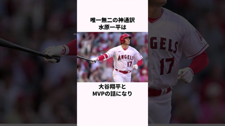 「唯一無二の神通訳」水原一平と大谷翔平のMVPに関する雑学   #大谷翔平  #野球  #野球解説