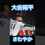 【NPB】日ハム大谷翔平、爽やかが過ぎる #大谷翔平 #mlb #shoheiohtani #wbc #侍ジャパン #angels #dodgers #mvp #エンゼルス