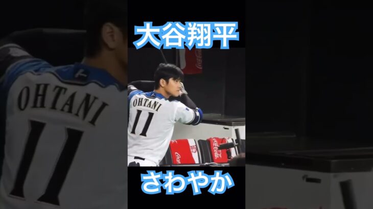 【NPB】日ハム大谷翔平、爽やかが過ぎる #大谷翔平 #mlb #shoheiohtani #wbc #侍ジャパン #angels #dodgers #mvp #エンゼルス