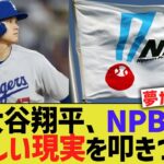 大谷翔平、NPBに恐ろしい現実を叩きつけてしまう【なんJ プロ野球反応】