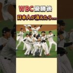 WBCで日本人が消えたら… #ずんだもん #大谷翔平