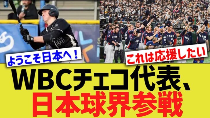 WBCチェコ代表、日本球界参戦