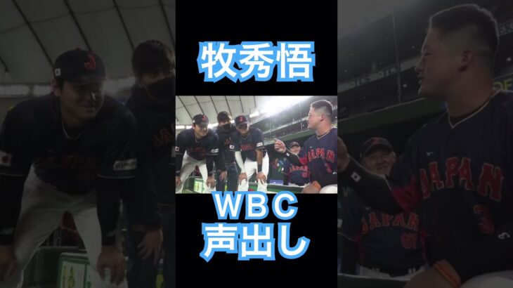 【WBC】オーストラリア戦、牧秀悟の声出し #大谷翔平 #mlb #shoheiohtani #wbc #侍ジャパン #angels #dodgers #mvp #エンゼルス #牧秀悟 #声出し