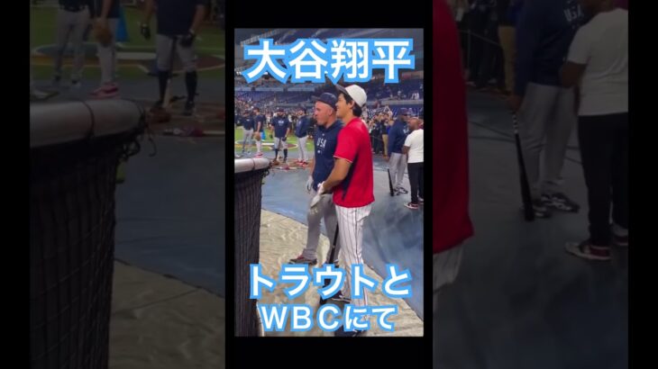 【WBC】大谷翔平とトラウト、決勝戦前に談笑 #大谷翔平 #shoheiohtani #mlb #mvp #wbc #angels #dodgers #侍ジャパン #エンゼルス