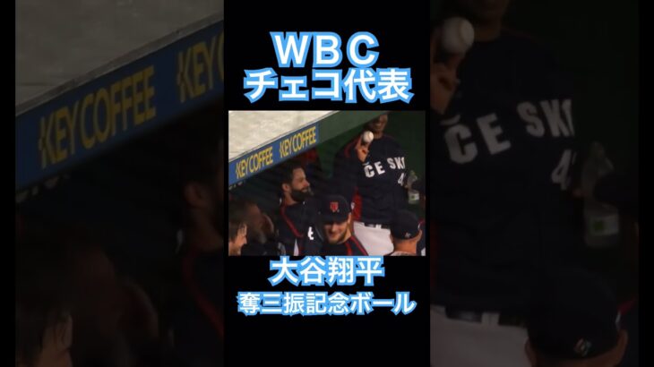 【WBC】大谷翔平から三振を奪い嬉しそうなチェコ代表 #大谷翔平 #shoheiohtani #mlb #mvp #wbc #angels #dodgers #侍ジャパン #エンゼルス