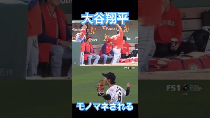 【WBC】優勝の瞬間をイジられる大谷翔平 #大谷翔平 #wbc #侍ジャパン #mlb #shoheiohtani #デコピン #エンゼルス #ドジャース