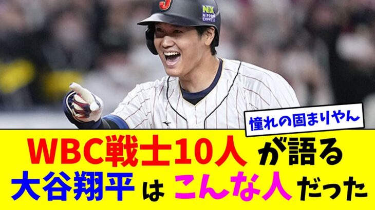 WBC戦士10人が語る大谷翔平はこんな人だった【なんJ反応】