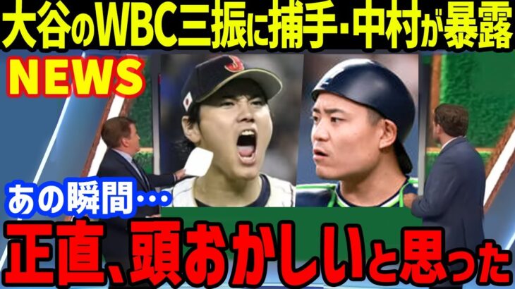 大谷翔平のWBCトラウトに投げた6球目「ヤバイ！」と捕手・中村悠平が思考停止の軌道に一同驚愕…インスタグラムでの533万人増加の世界一の記録も【海外の反応/MLB】