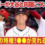 【海外の反応】大谷翔平とのWBC共闘についてヌートバーが語った言葉が世界中で話題に！「彼はユニコーン！」初の日系日本代表選手も侍ジャパンの魂装備完了！【MLB】