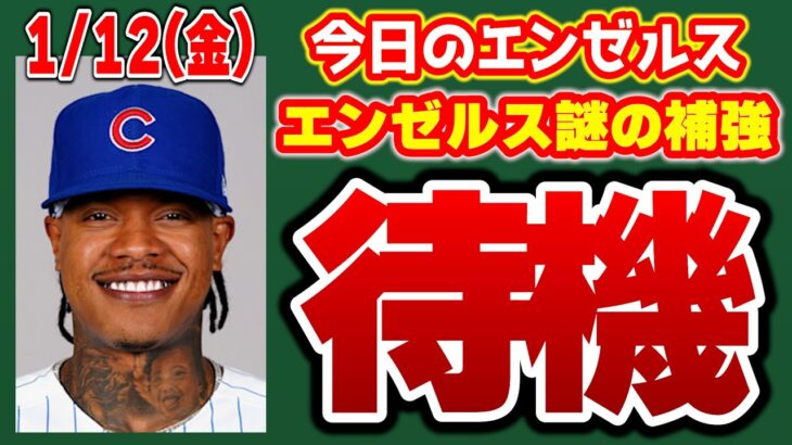 【エンゼルス最新】不動のエンゼルス😭球団売却か🤔？ウォード・スアレス年俸調停へ😱プリーサックよ、エイデンハートの分も頼む🔥　メジャーリーグ　mlb【ぶらっど】