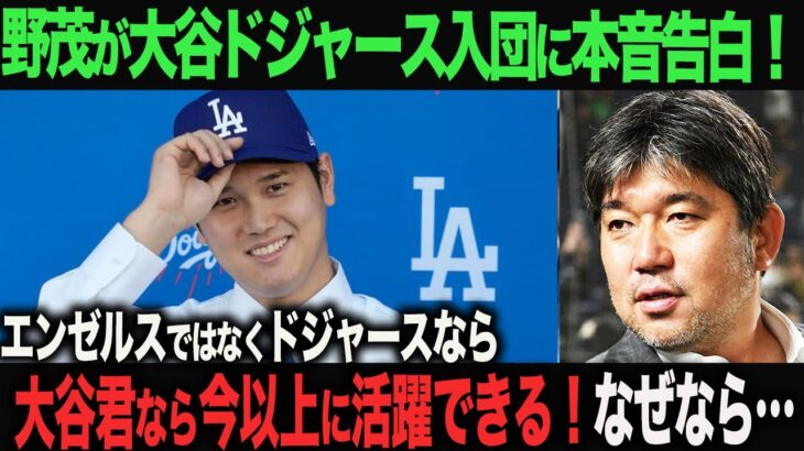 【海外の反応】ドジャース入団の大谷翔平選手へ！野茂英雄がエールを送る！　ohtani 大谷翔平  トラウト　佐々木朗希　山本由伸 藤浪晋太郎　中野 拓夢