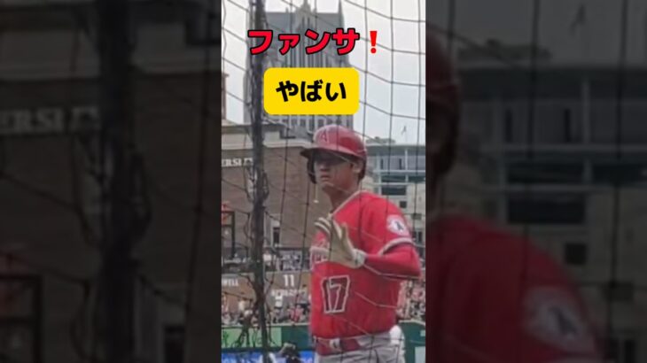 ファンサやばい！！エンゼルスの思い出　#shoheiohtani #大谷翔平 #ohtani #ファンサ #mlb #ANGELS