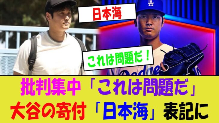 大谷の寄付「日本海」表記に批判集中「これは問題だ！」