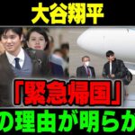 【速報】大谷翔平 「緊急帰国」本当の理由が明らかに…