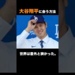 【あなたの会いたい人は？⠀】大谷翔平と会う方法#雑学