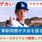 大谷翔平 ドジャース新同僚  メディアで語る！ ファン目線「握手した」「待ちきれない」「ドジャースタジアムで練習してたよ」「特別な選手」「ワクワク」、米有名歌手歓喜、米ファン反応！来季ラインナップ紹介