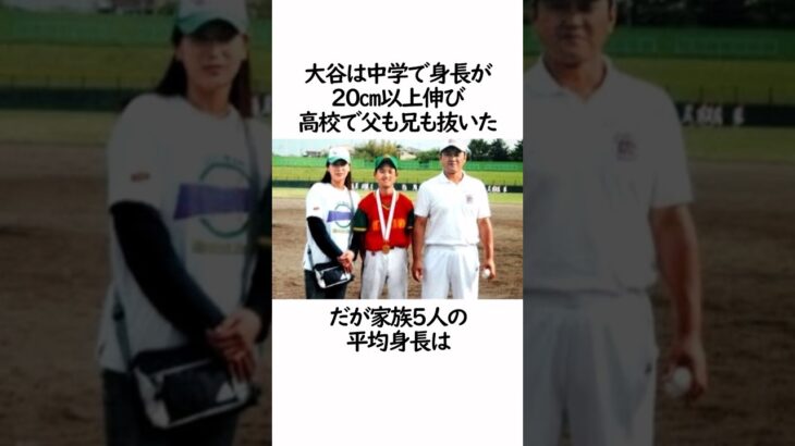 大谷翔平の家族についての雑学