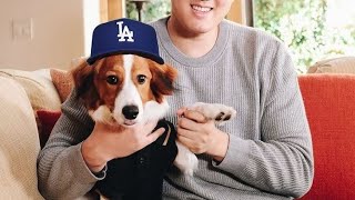 大谷翔平がいたずらな小さな犬と一緒に家にいるのを見てください (かわいい🤪🤪🤪🤪🤪🤪)