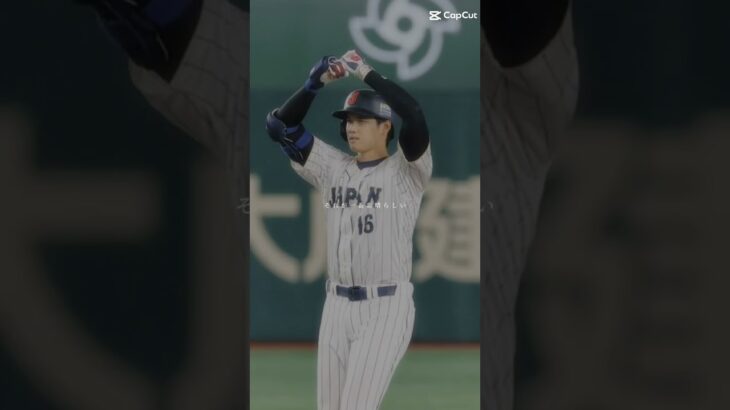 大谷翔平のグッとくる名言