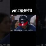 大谷翔平vsマイクトラウト　#大谷翔平 #wbc #short