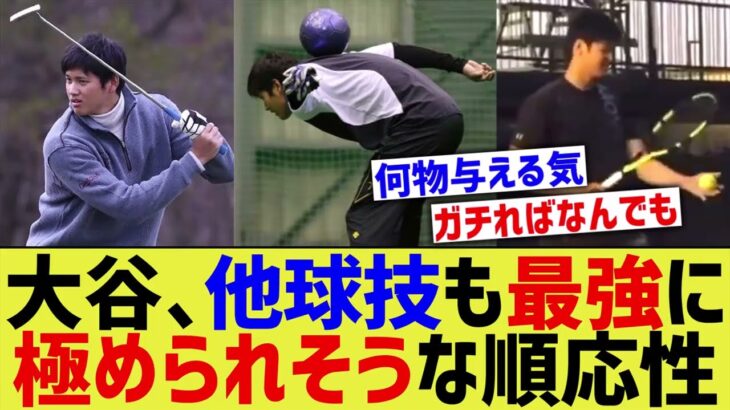 大谷、他球技への順応性が凄まじすぎるwww【なんｊプロ野球反応】