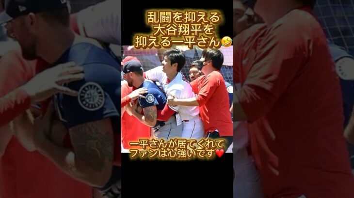 『大谷翔平占い』大谷くん一平さんをもて遊ばないであげてね！1番信頼出来る人でしょ❣️