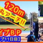 大谷翔平 初ライブＢＰで弾丸120mアーチ！スタジアムがどよめくｗ現地映像まとめ（2024.2.20 キャンプ11日目 米アリゾナ州グレンデール球団施設）