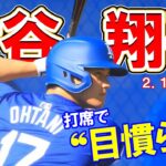 【現地速報２月15日】ドジャース・大谷翔平　打席で“目慣らし”