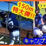 【大谷翔平150ｍ特大弾＆驚異６連発含む13本柵越え!!】密着 現地映像まとめ（2024.2.17 キャンプ８日目 米アリゾナ州グレンデール球団施設）