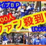 大谷翔平ライブＢＰに2200人ファン殺到！現地映像まとめ（2024.2.24 キャンプ15日目 米アリゾナ州グレンデール球団施設）