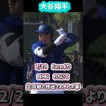 大谷翔平ドジャースデビュー戦決定😱2/28ホワイトソックス戦#shorts#大谷翔平現地映像 #大谷翔平 #ohtanishohei #mbl